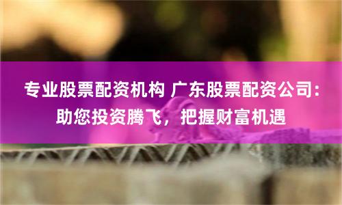 专业股票配资机构 广东股票配资公司：助您投资腾飞，把握财富机遇