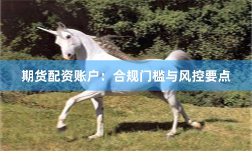 期货配资账户：合规门槛与风控要点