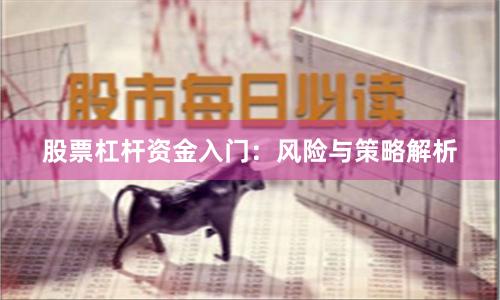 股票杠杆资金入门：风险与策略解析